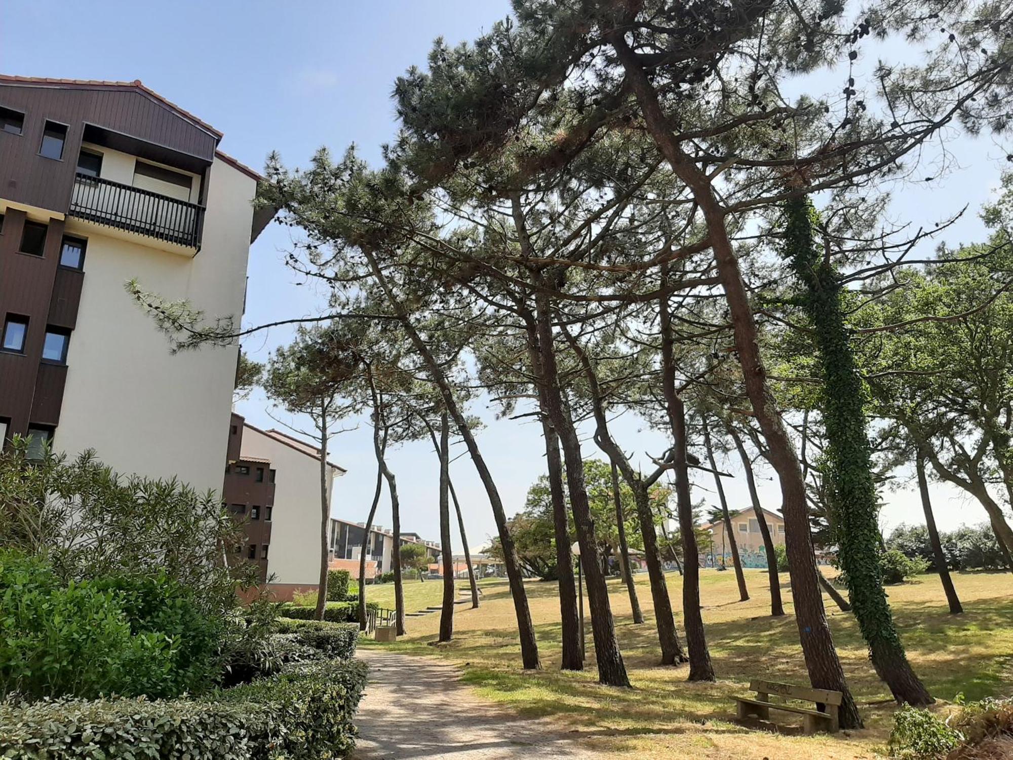 Appartement Seignosse, 1 pièce, 2 personnes - FR-1-239-437 Extérieur photo